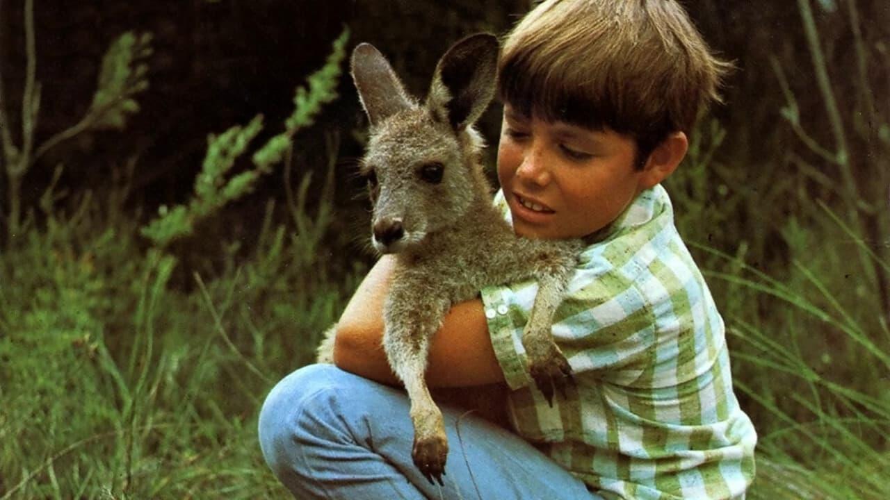 Skippy the Bush Kangaroo backdrop