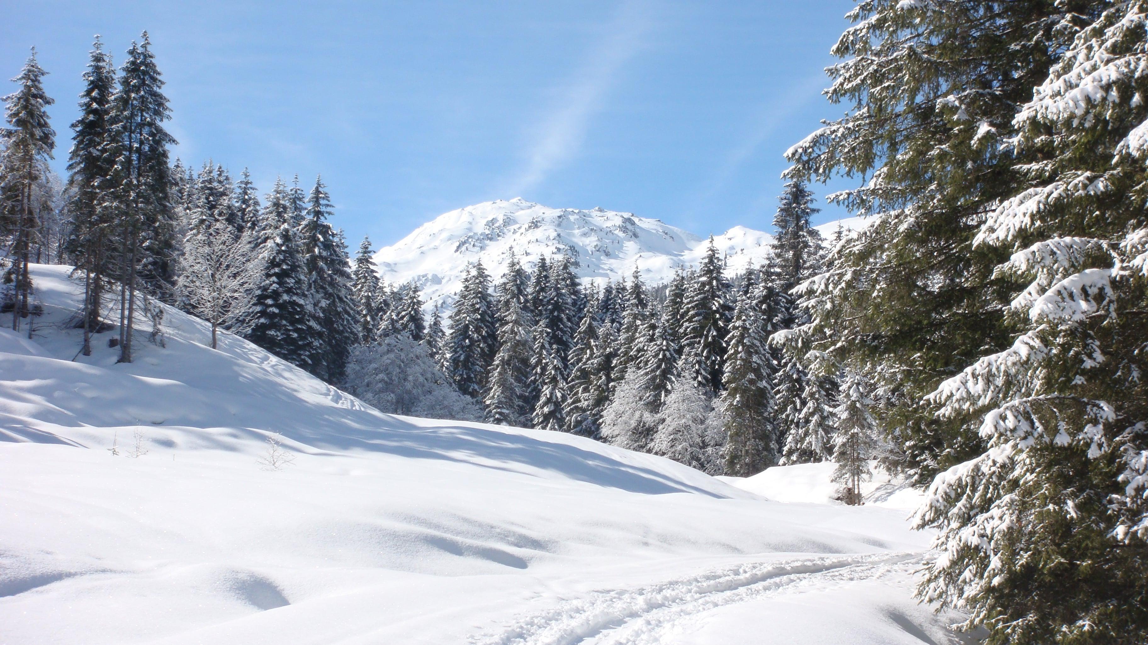 Weißblaue Wintergeschichten backdrop