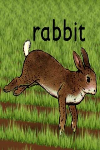 Rabbit poster