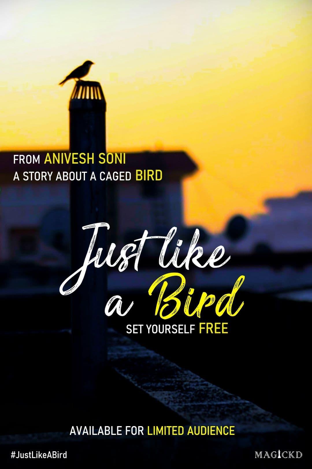 Just Like A Bird poster