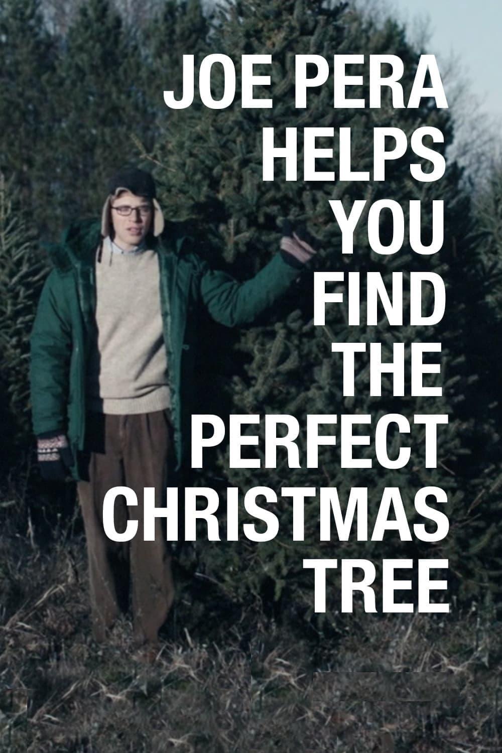 Joe Pera Helps You Find the Perfect Christmas Tree poster