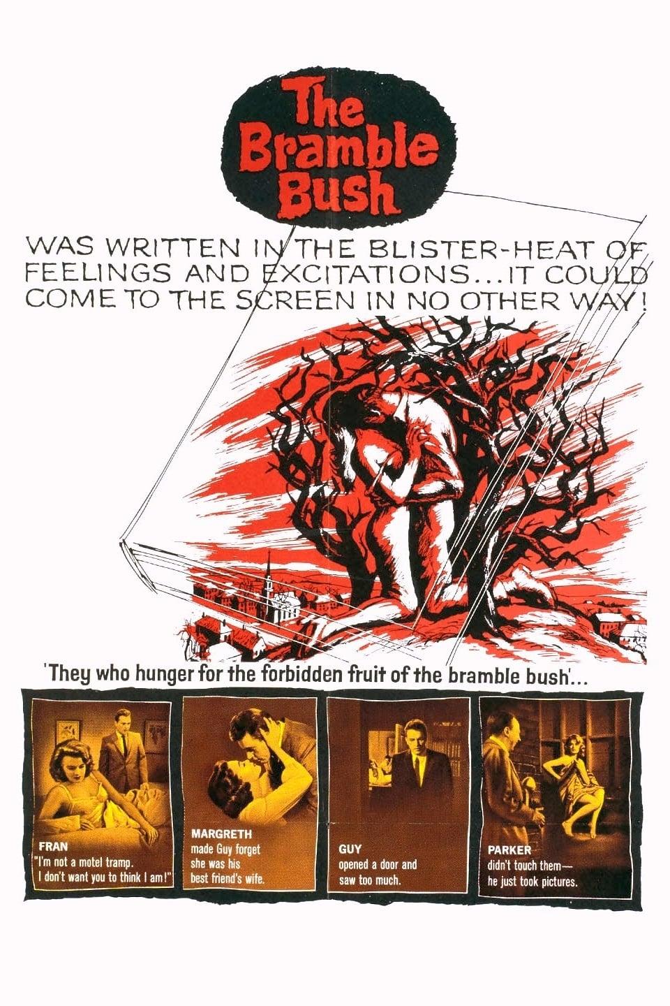 The Bramble Bush poster