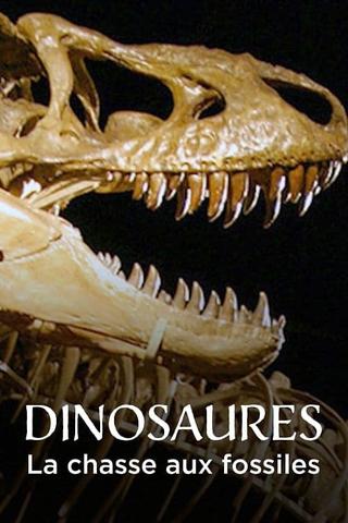 Dinosaurs, the hunt for fossils poster