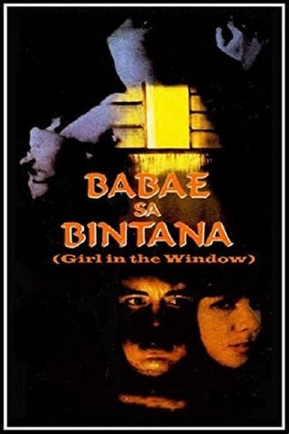 Woman by the Window poster