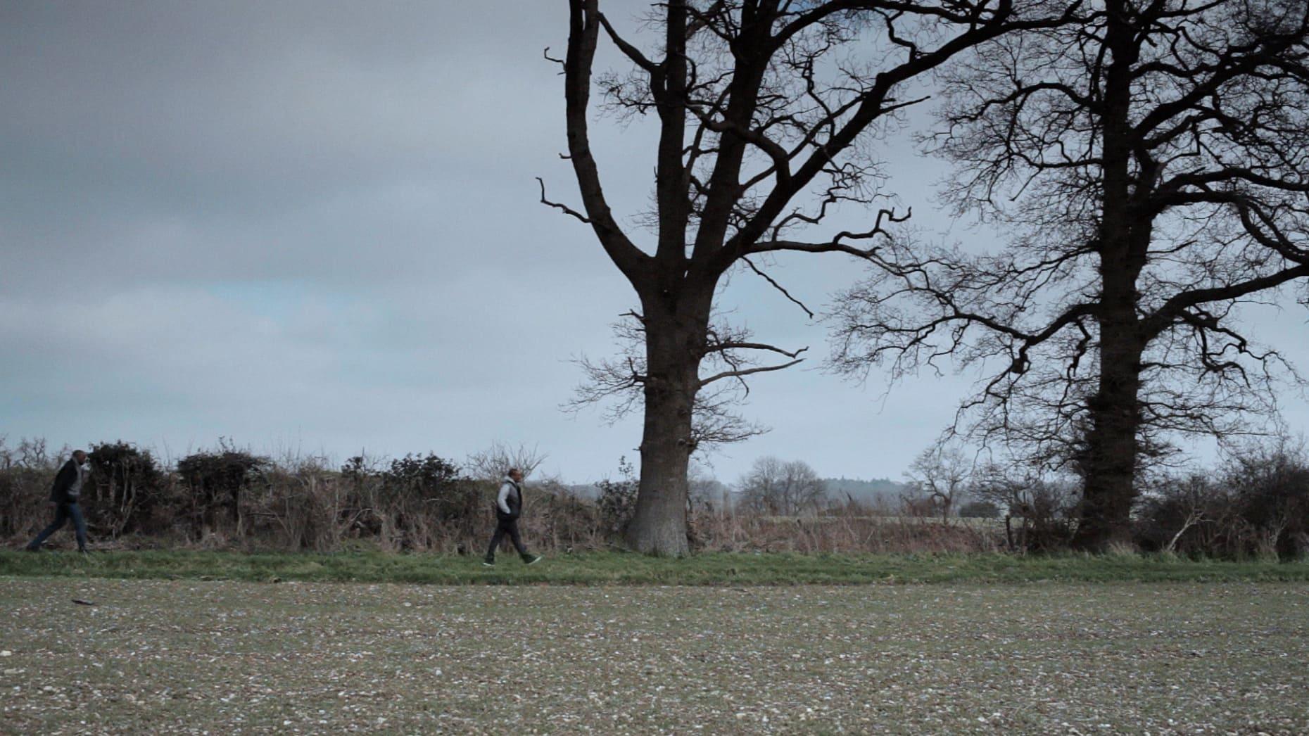 Not Far from the Tree backdrop