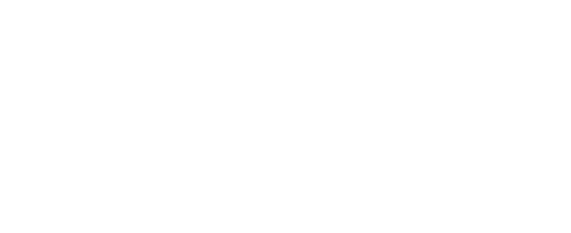 The Big Valley logo