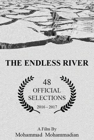 The Endless River poster