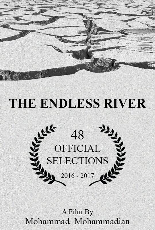 The Endless River poster