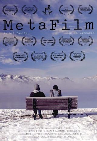 MetaFilm poster