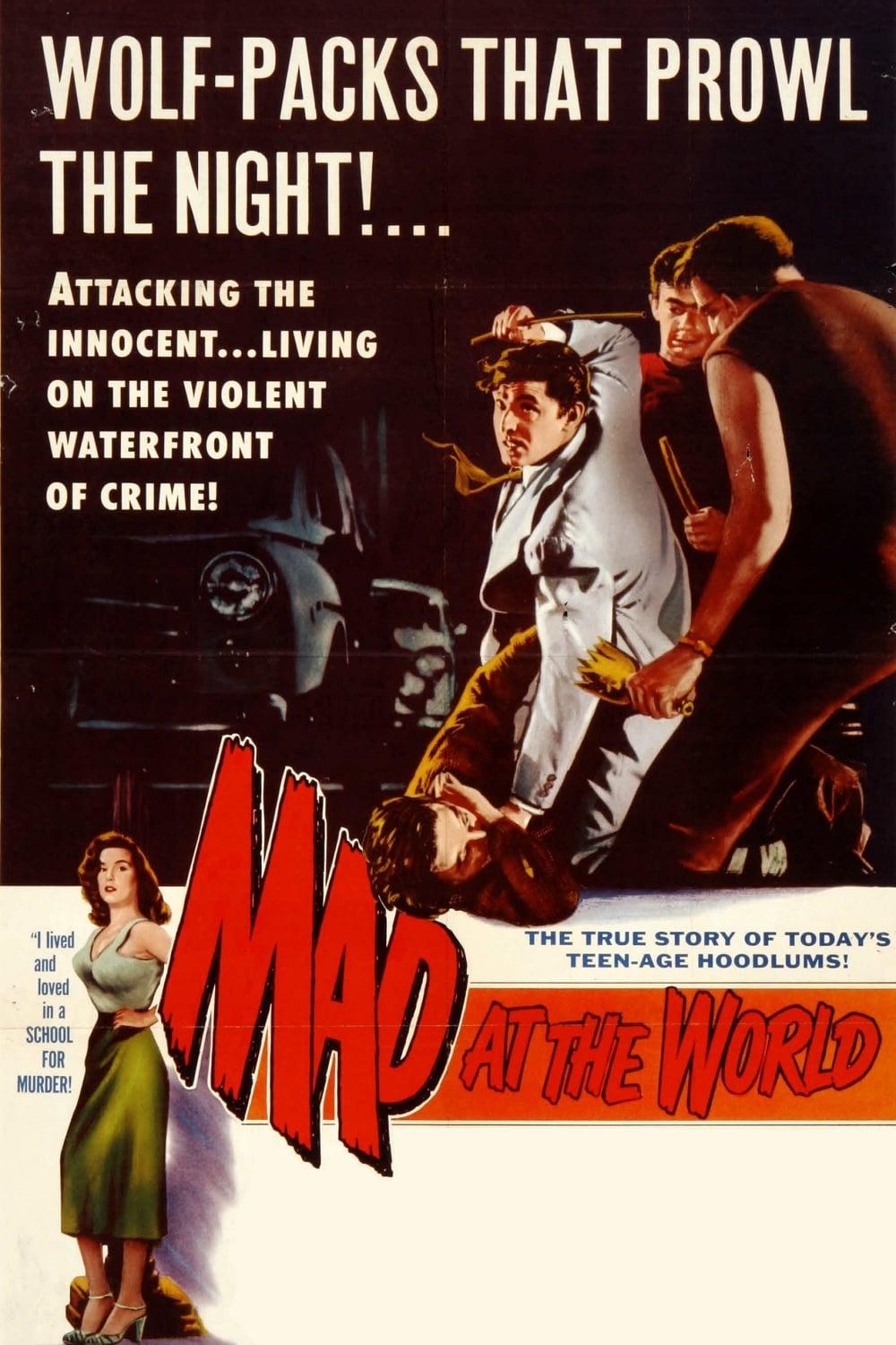 Mad at the World poster