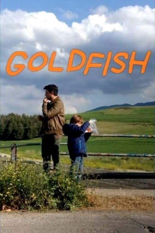 Goldfish poster