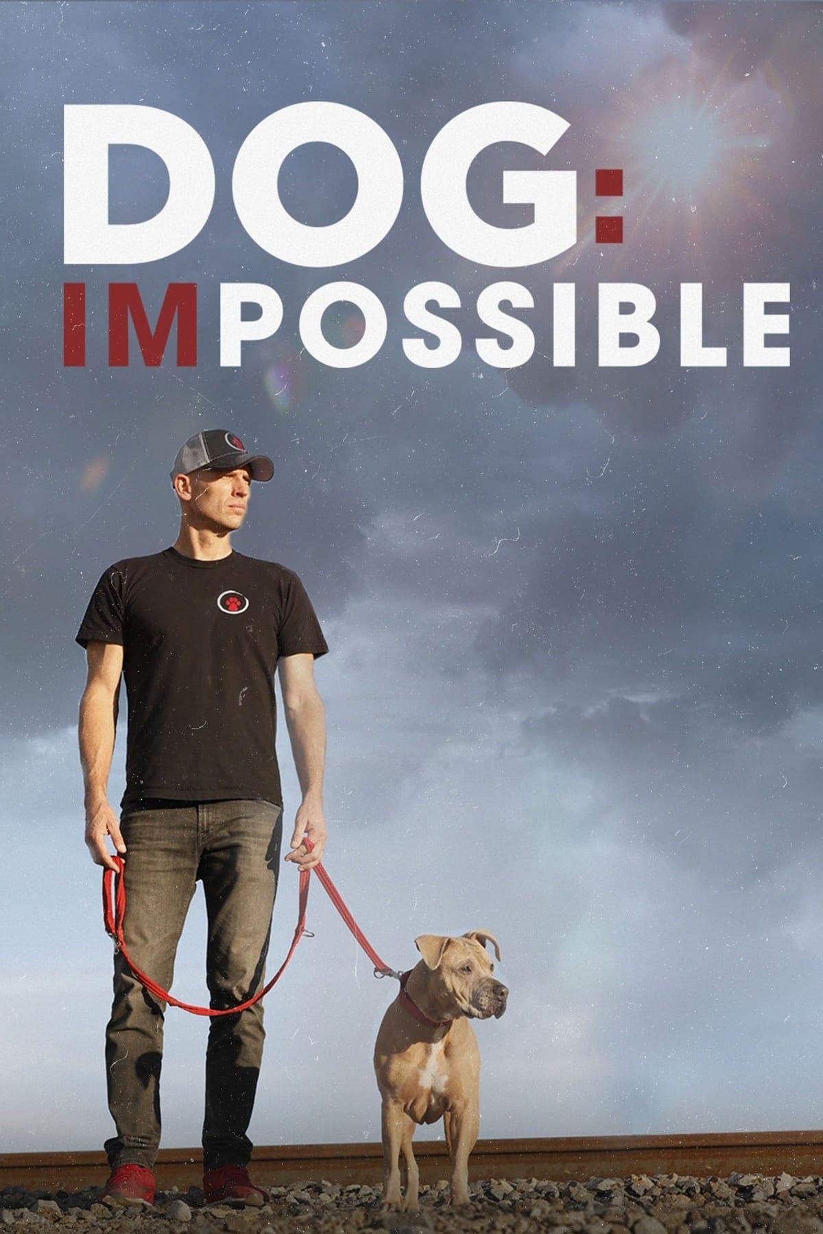 Dog: Impossible poster