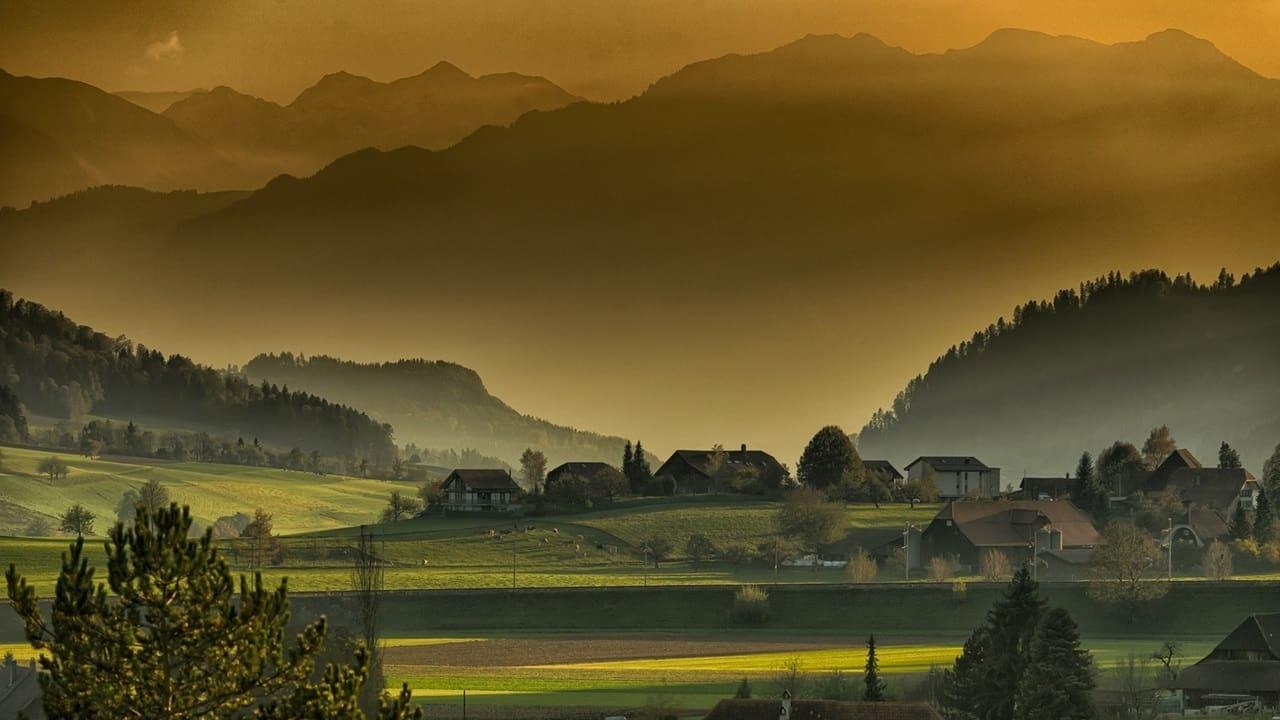 Árpád Bakota backdrop