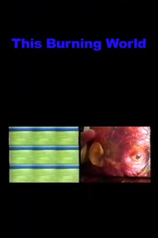 This Burning World poster