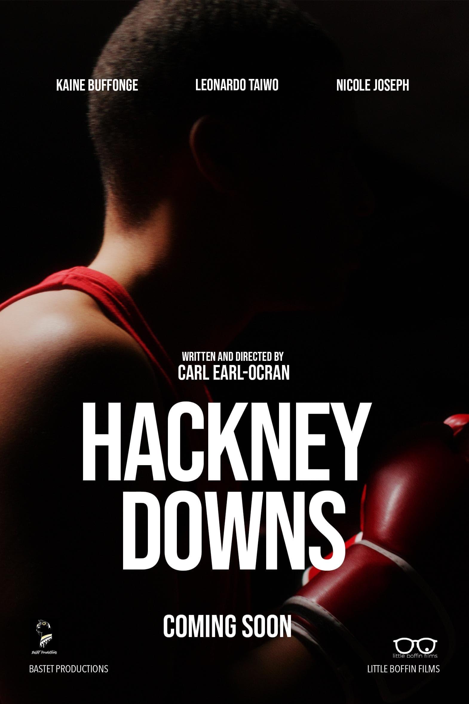 Hackney Downs poster