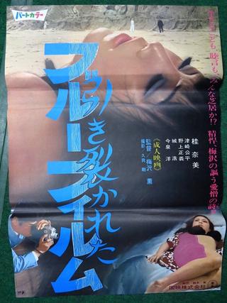 Hikisakareta burū firumu poster