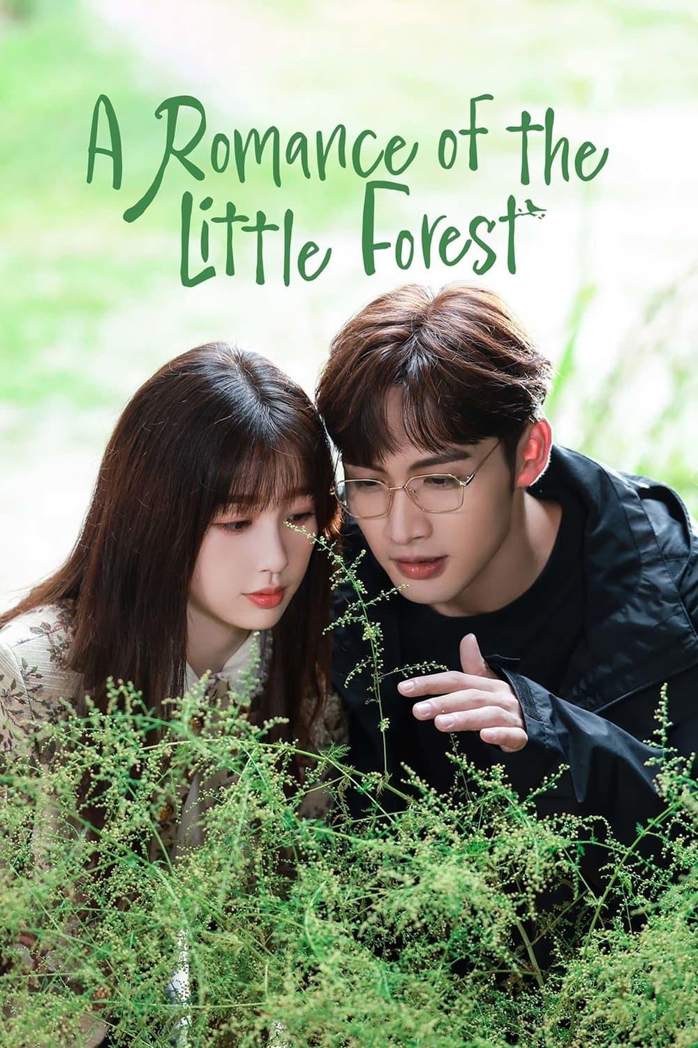 A Romance of the Little Forest poster