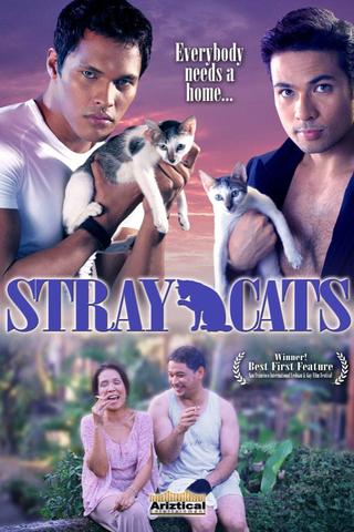 Stray Cats poster
