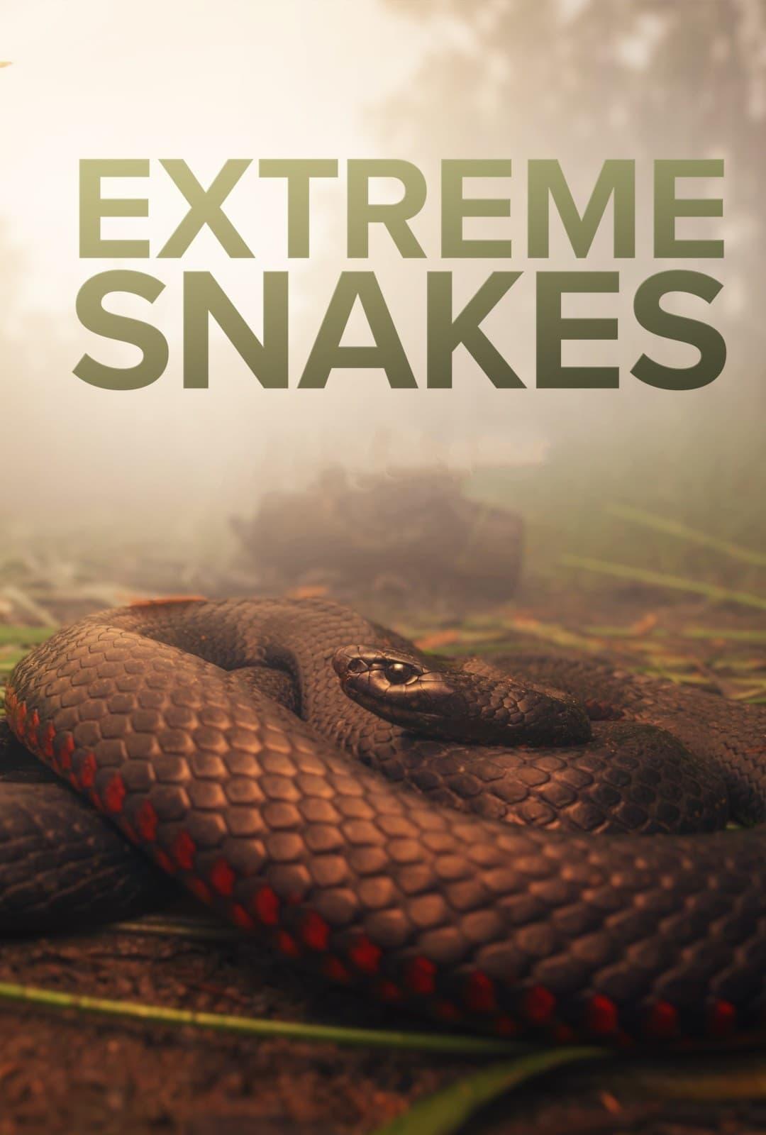 Extreme Snakes poster