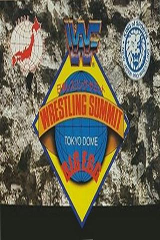 WWF/AJPW/NJPW Wrestling Summit poster