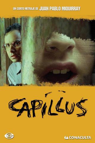 Capillus poster