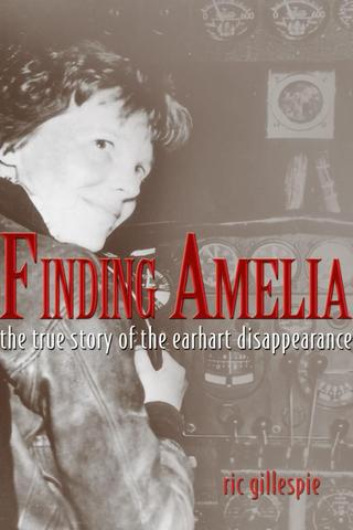 Finding Amelia poster