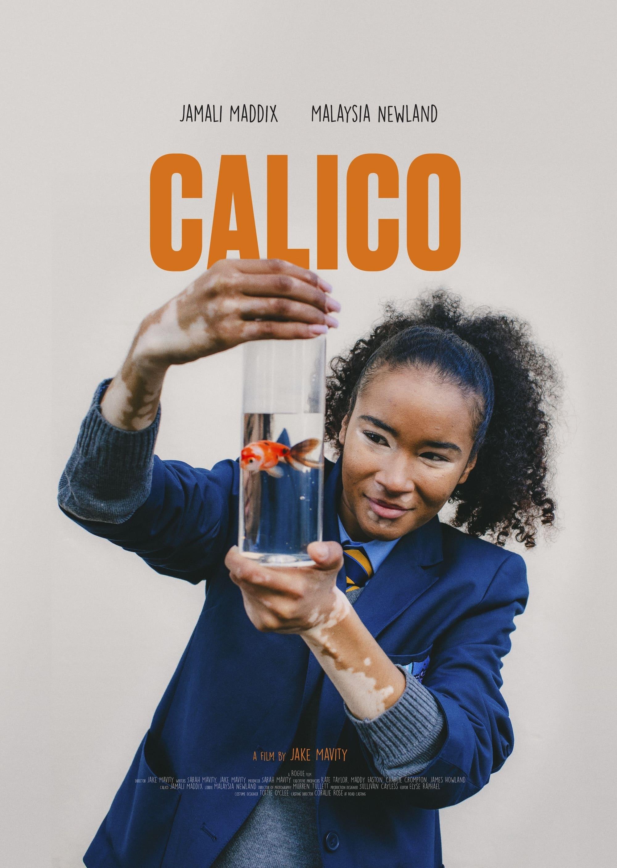 CALICO poster