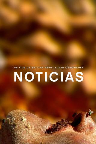 Noticias poster