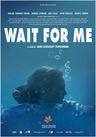Wait for Me poster