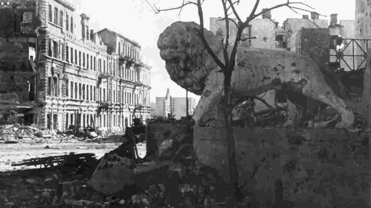 Stalingrad - Stimmen aus Ruinen backdrop