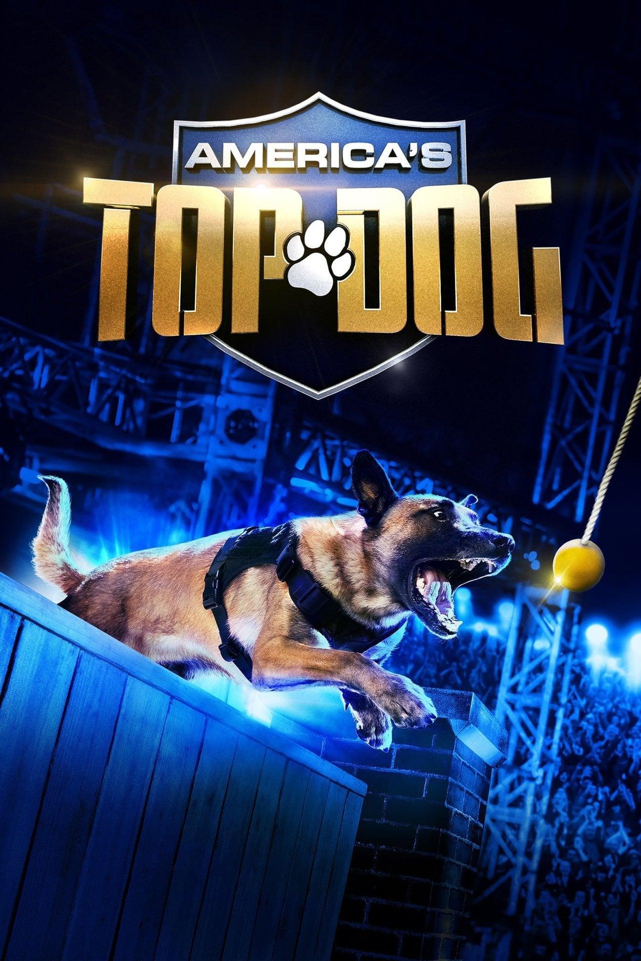 America's Top Dog poster