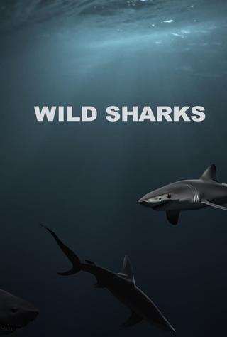 Wild Sharks poster