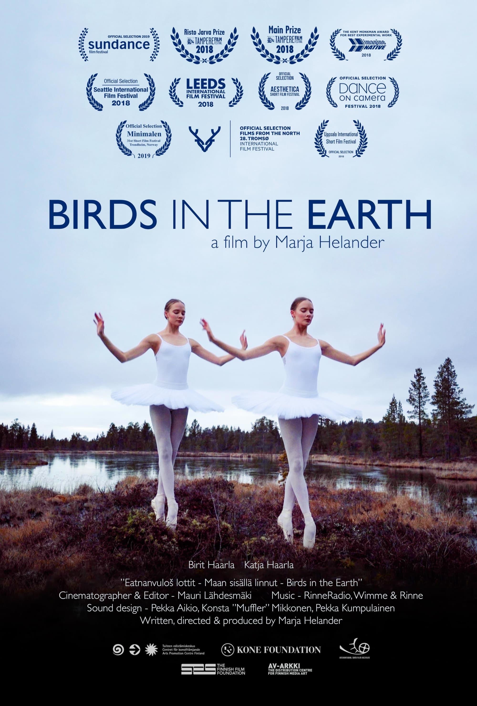 Birds in the Earth poster