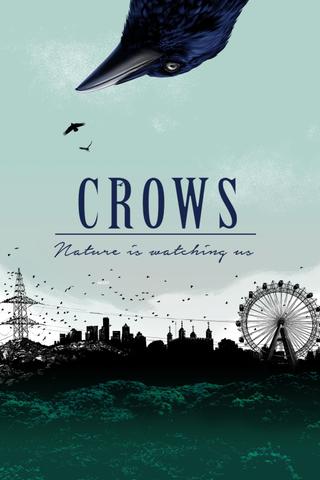 Crows - Nature Is Watching Us poster