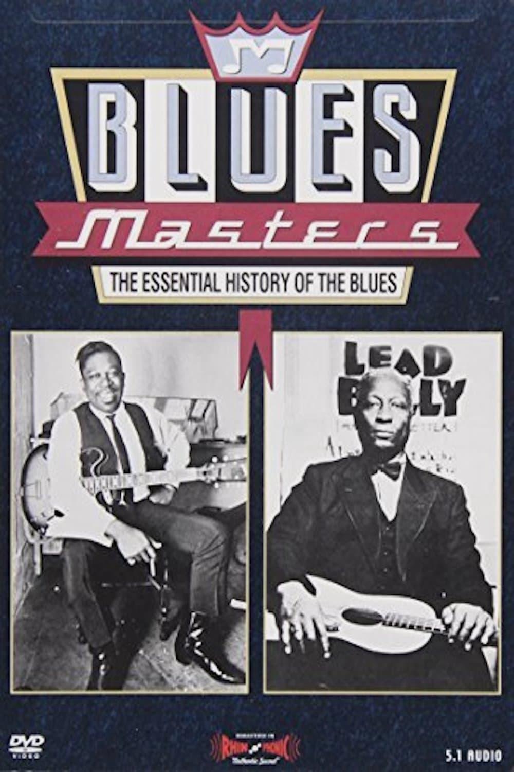 Blues Masters - The Essential History of the Blues poster