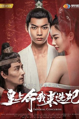 Imperial Concubine poster