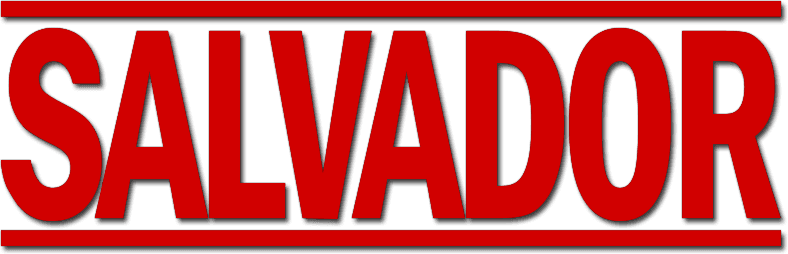 Salvador logo