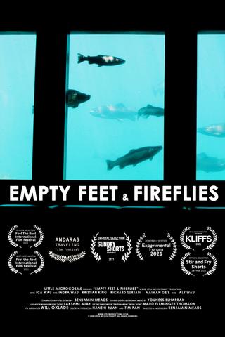 Empty Feet & Fireflies poster