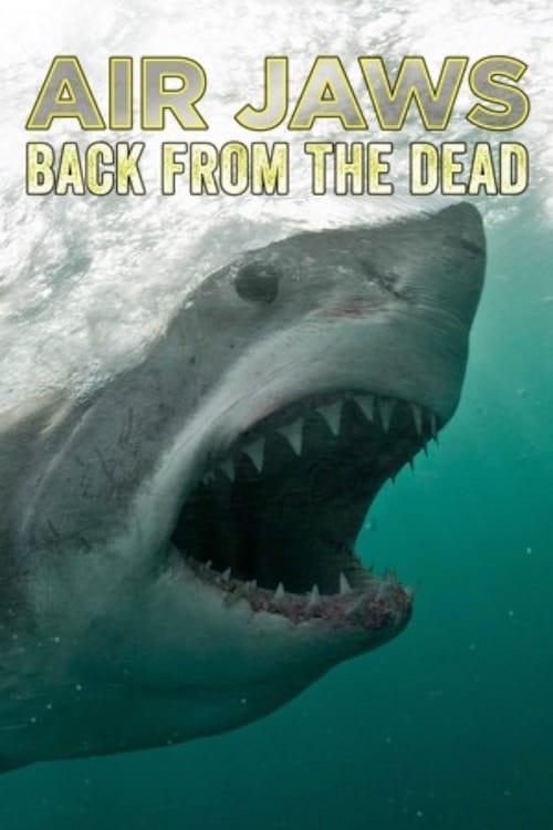 Air Jaws: Back From The Dead poster