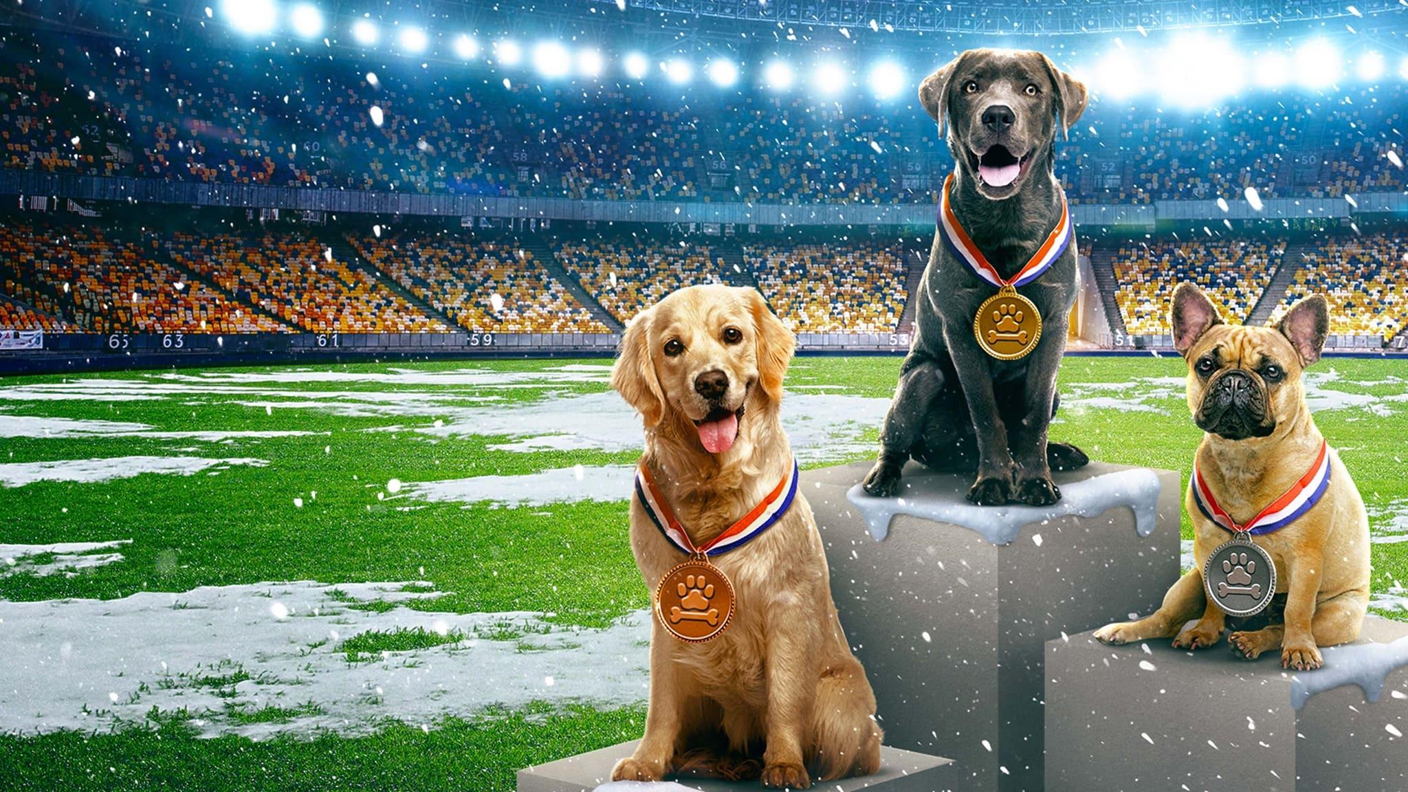 Puppy Bowl Presents: The Winter Games backdrop