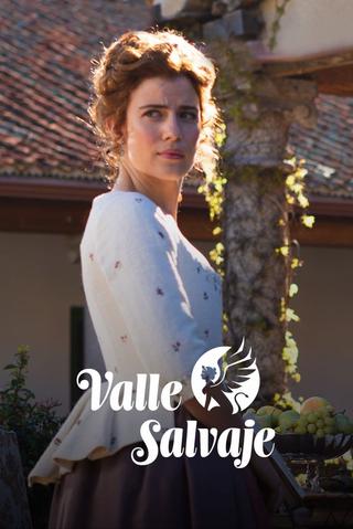 Valle salvaje poster