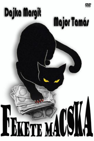 Fekete macska poster