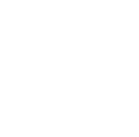 99 Songs logo