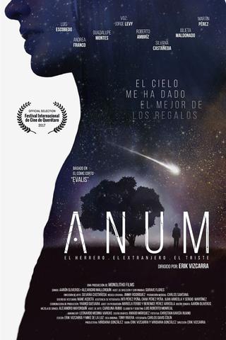 Anum poster