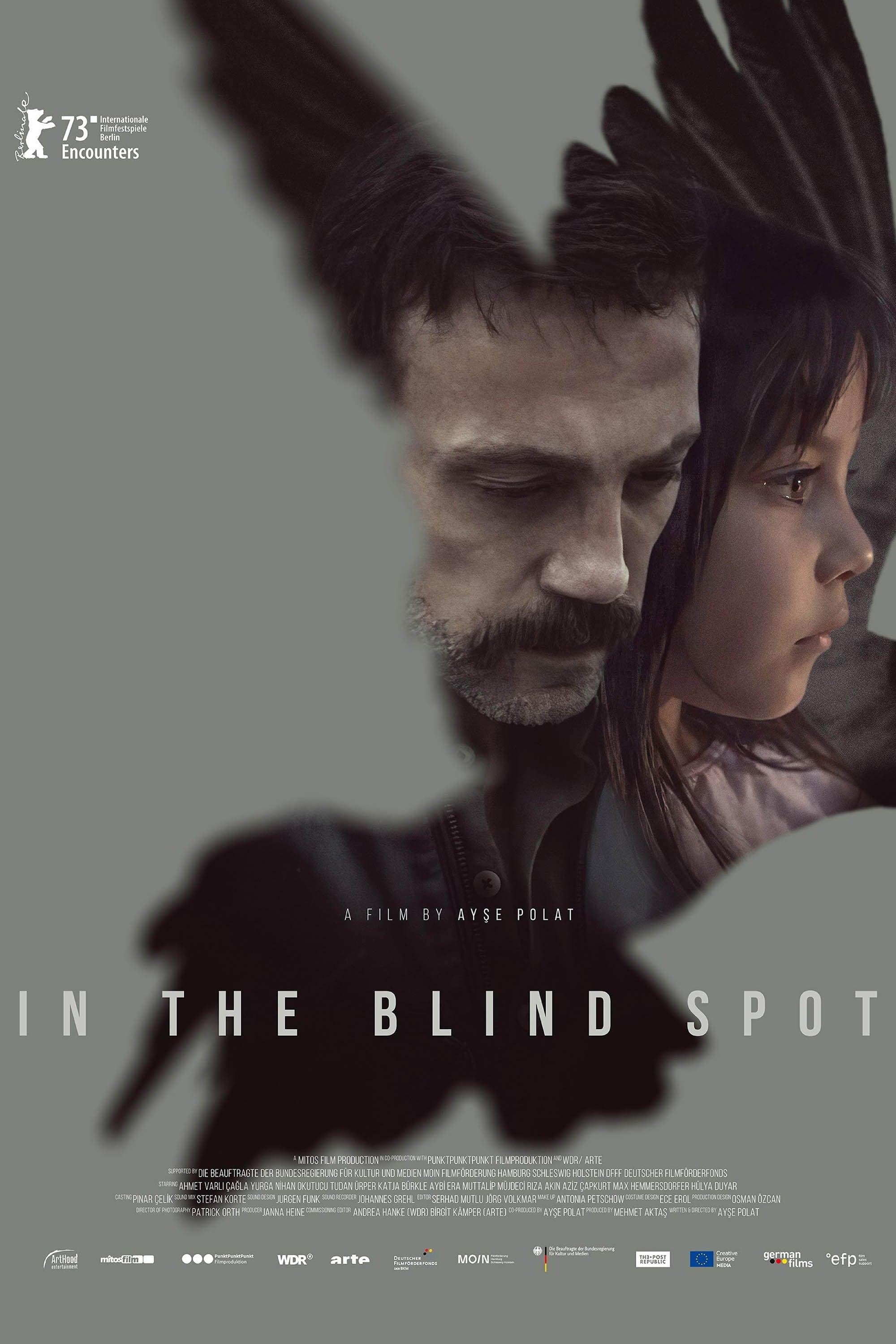 In the Blind Spot poster
