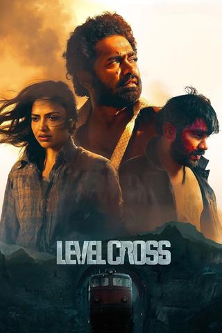 Level Cross poster