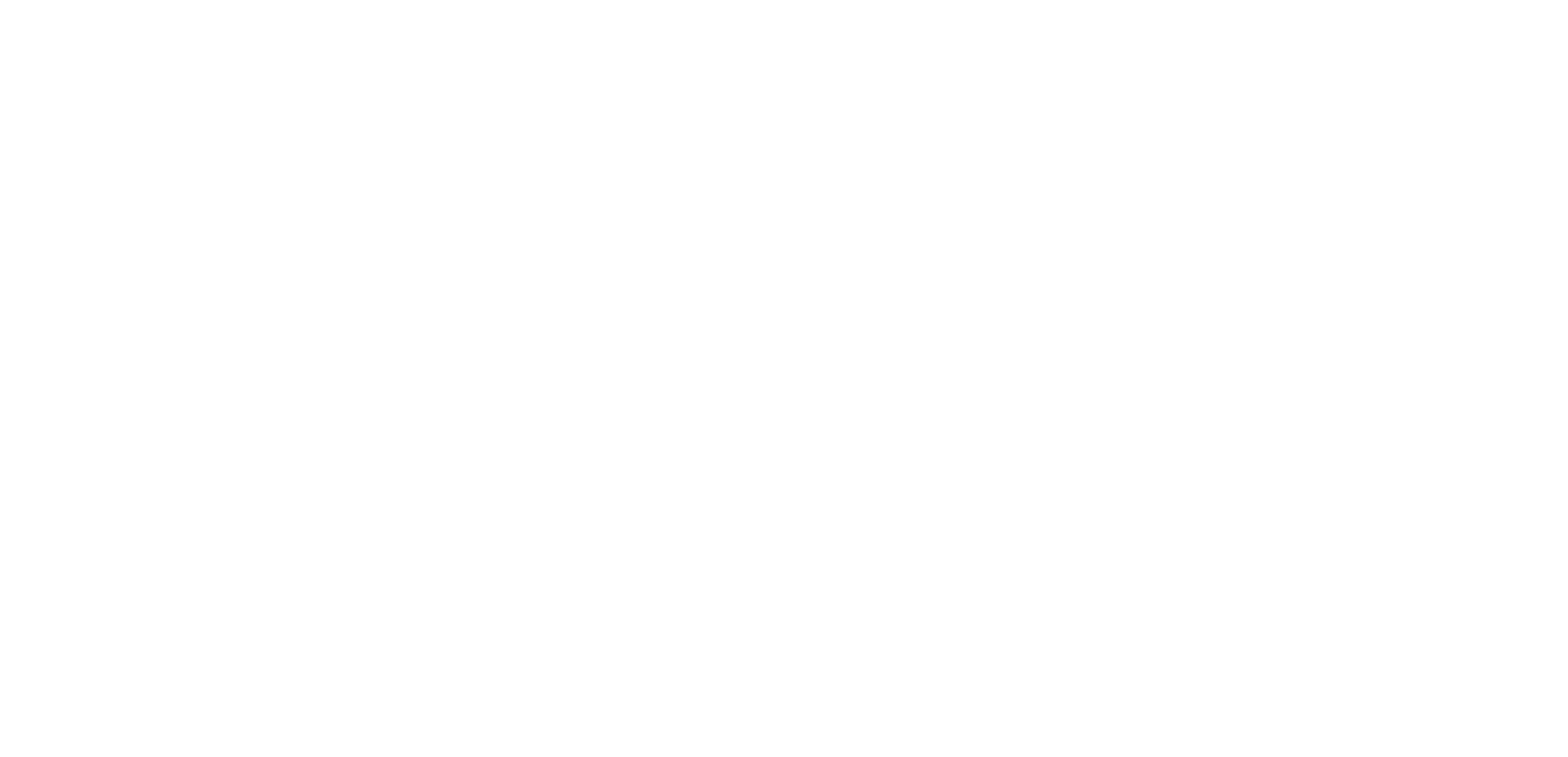 Dashing Youth logo