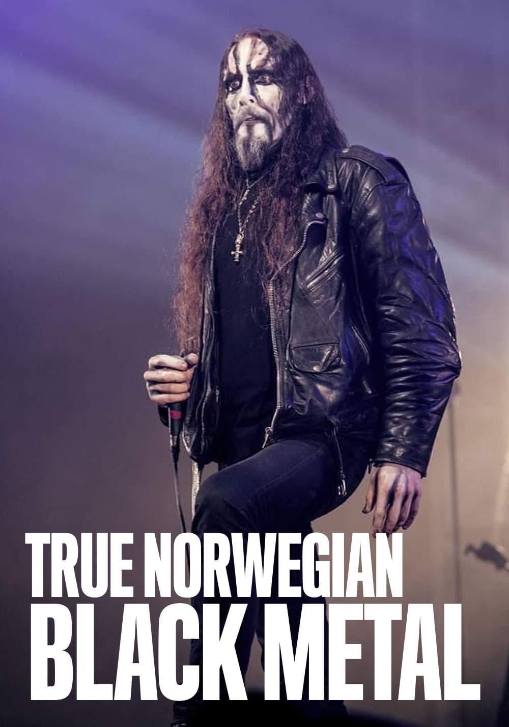 True Norwegian Black Metal poster