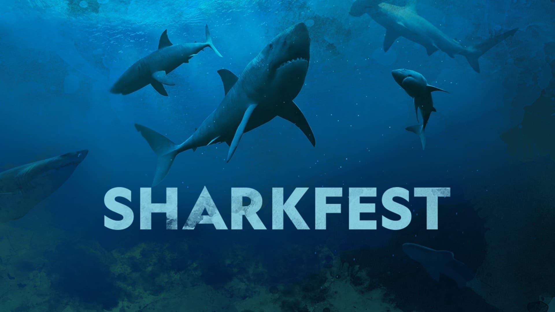 Sharkfest backdrop