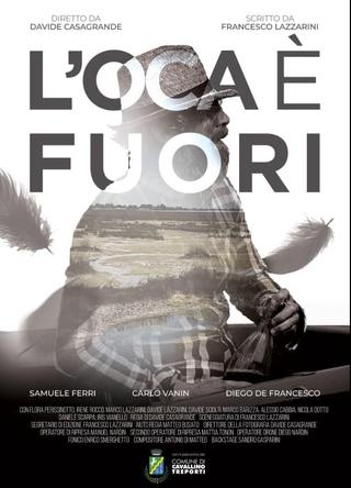 L'oca è fuori poster